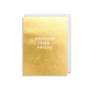 Cherished Mini Greeting Card - Welcome My Tiny Friend